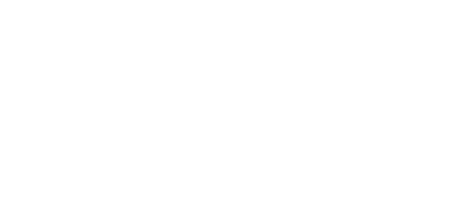 Digital Schools Logo